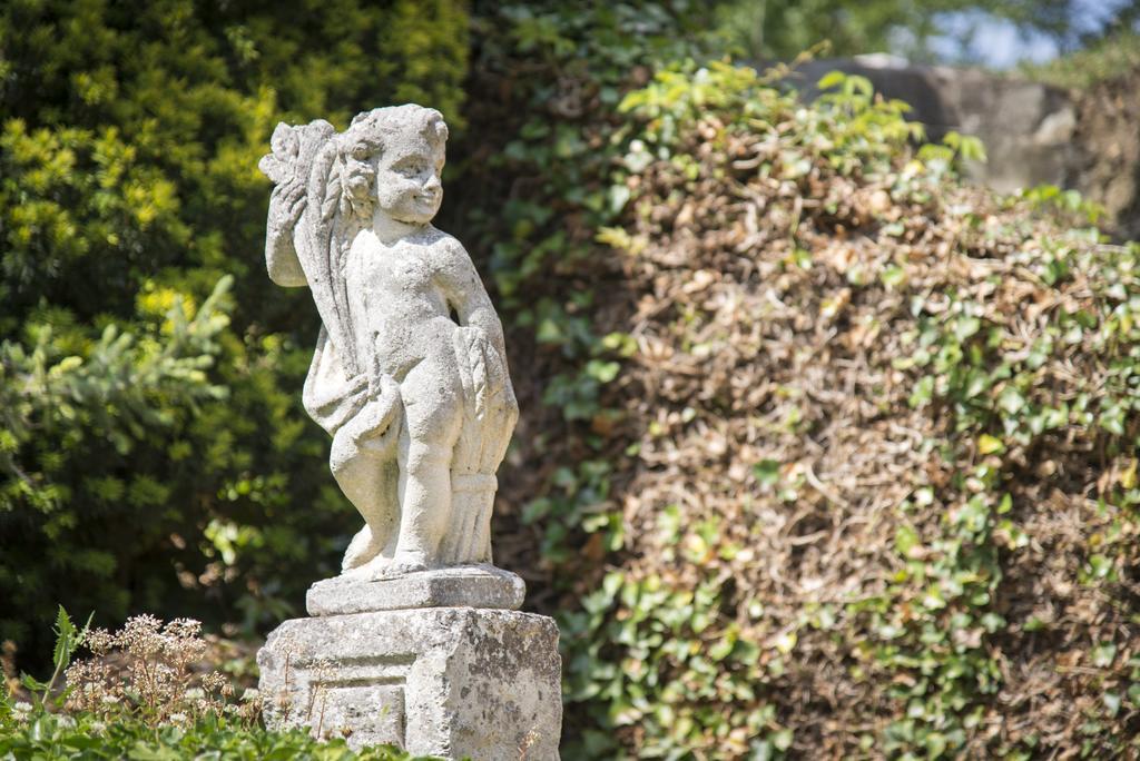 D'hôtes Manoir De Montecler Chènehutte-les-Tuffeaux